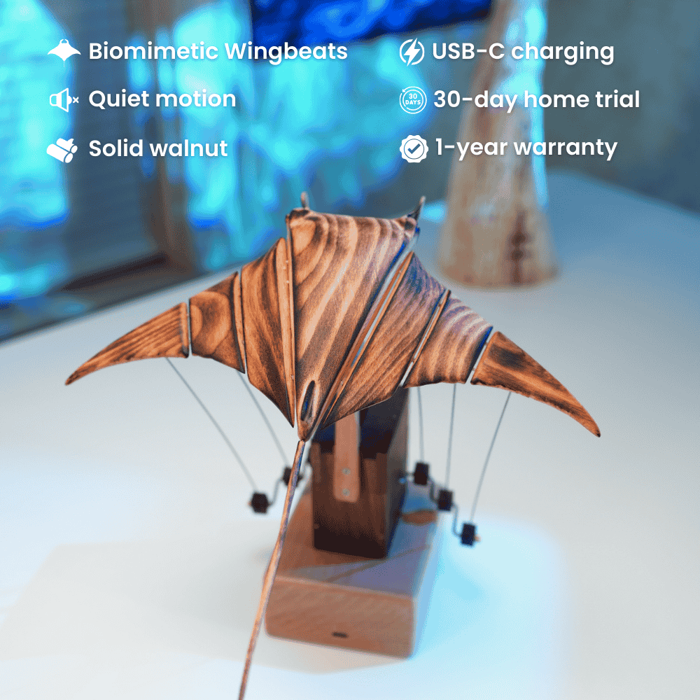 Handcrafted wooden manta ray automaton ocean lover gift - image 9